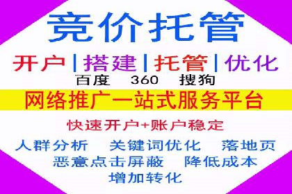 竞价托管服务案例解析